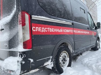 В Омутнинском районе проводится проверка по факту пожара, в результате которого погибли два человека